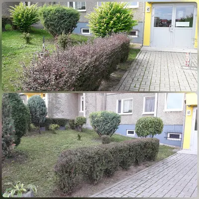 VITI VITALII ONYSHKO